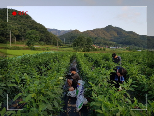 꾸미기_KakaoTalk_20180813_092304044.jpg